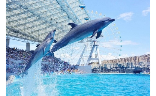 徳川美術館・名古屋港水族館入館券（限定柄）セット - 愛知県名古屋市｜ふるさとチョイス - ふるさと納税サイト