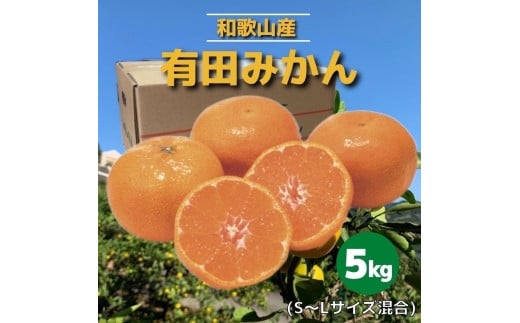 和歌山県産 有田みかん 5kg 秀品 - 和歌山県印南町｜ふるさとチョイス - ふるさと納税サイト