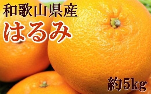 【大玉】和歌山県産はるみ約5kg(3L～5Lサイズおまかせ・ご家庭用