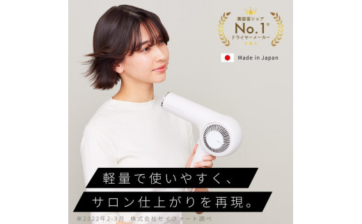 NIB300A プロフェッショナル プロテクトイオンヘアードライヤー