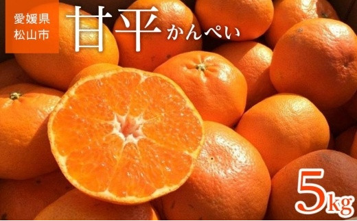 ＜ご家庭用＞石丸農園産 甘平5kg 愛媛 みかん 先行予約 蜜柑 柑橘 果物 くだもの フルーツ お取り寄せ グルメ 期間限定 数量限定 人気  おすすめ 愛媛県 松山市