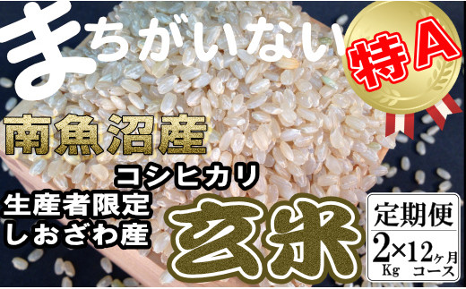 定期便】玄米 生産者限定 南魚沼しおざわ産コシヒカリ2Kg×12ヶ月