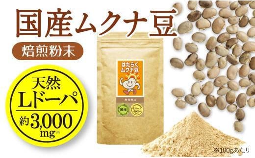 国産ムクナ豆粉末 300g×１袋【老舗生薬屋の無添加ムクナ豆】 A-505