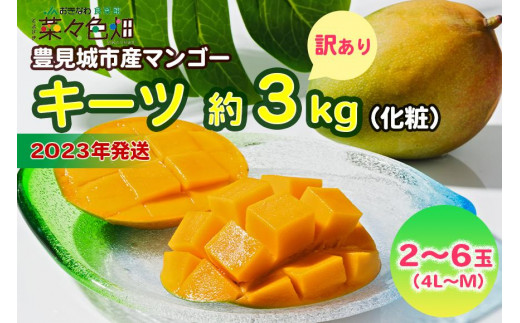 沖縄産☆家庭用キーツマンゴー6玉(約4.5kg) - 果物