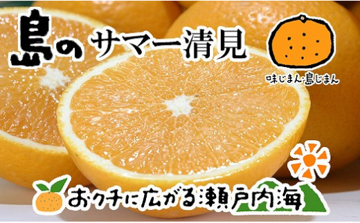 希望の島 サマー清見 4kg 愛媛 中島産 - 愛媛県松山市｜ふるさと