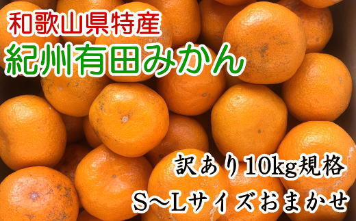 訳あり]和歌山有田みかん約10kg(S～Lサイズいずれかお届け）☆2023年11