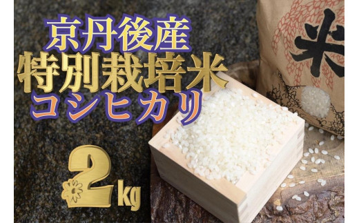 特別栽培米コシヒカリ2kg - 京都府京丹後市｜ふるさとチョイス