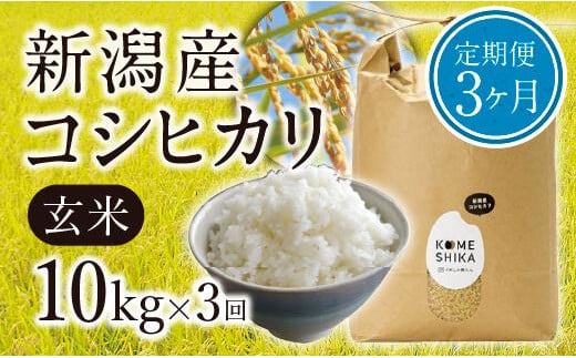 【令和5年産米】【定期便3ヵ月】新潟産コシヒカリ玄米10kg×3回