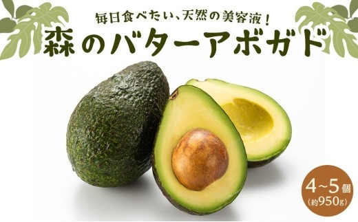 11月頃より発送】アボカド 約900g（4～5個）オーガニック 国産 愛媛県