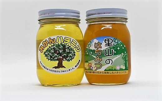 ありだみかん蜂蜜・ありだ里山の蜂蜜（各570ｇ） - 和歌山県有田川町｜ふるさとチョイス - ふるさと納税サイト