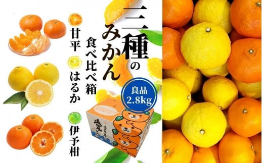 三種のみかん食べ比べ箱】甘平・はるか・宮内伊予柑 （良品）約2.8kg ＜2025年2月頃発送＞ 愛媛 松山 みかん 詰め合わせ 先行予約 蜜柑 柑橘  果物 くだもの フルーツ お取り寄せ グルメ 期間限定 数量限定 人気 おすすめ 愛媛県 松山市 - 愛媛県松山市｜ふるさとチョイス ...