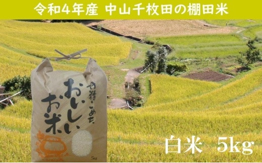 小豆島・中山千枚田の棚田米(白米) ５キロ - 香川県小豆島町｜ふるさと