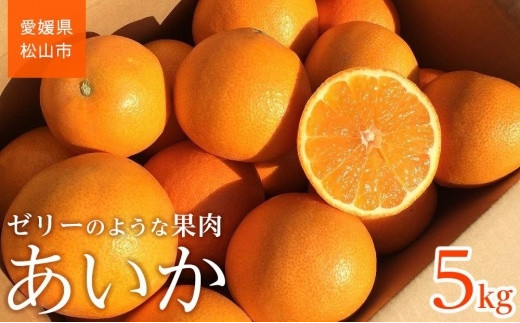 ＜ご家庭用＞ あいか ５kg 愛媛 みかん 先行予約 蜜柑 柑橘 果物