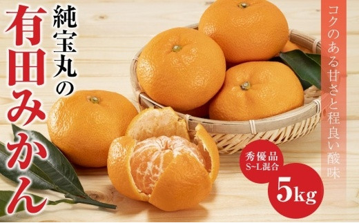 有田みかん　純宝丸　早生みかん 10㎏入り2ケース 有田みかん純宝丸早生みかん10㎏入り2ケース