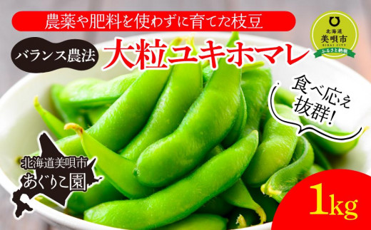 先行予約 バランス農法 農薬や肥料を使わずに育てた枝豆 大粒ユキホマレ 1kg 23年9月上旬発送予定 北海道美唄市 ふるさとチョイス ふるさと納税サイト