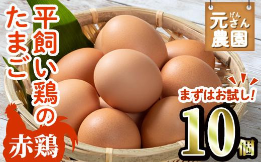 お試し用＞ 平飼い赤鶏のたまご (計10個) 元さん農園 卵 玉子 卵かけ