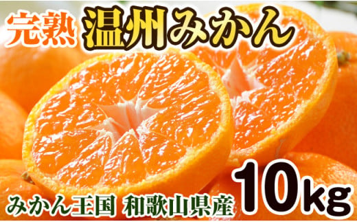 完熟温州みかん 10kg 和歌山のみかん職人が作る情熱ミカン - 和歌山県御坊市｜ふるさとチョイス - ふるさと納税サイト