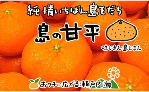 希望の島 甘平(かんぺい) 家庭用 約3kg 愛媛 中島産 - 愛媛県松山市