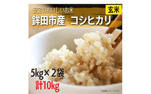安定のおいしさ 鉾田市産コシヒカリ 玄米 計10kg（5kg×2） - 茨城県