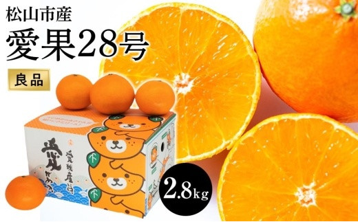 愛媛県 愛果28号 柑橘 10kg - フルーツ