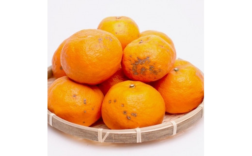 4月より発送＞ 家庭用 カラマンダリン5kg+150g（傷み補償分）南津海 