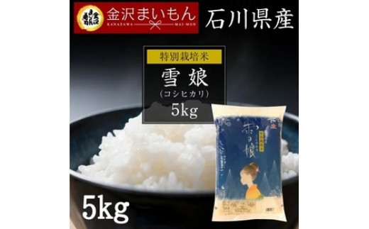 雪娘　石川県こしひかり 農家応援】令和3年産 特別栽培米こしひかり 雪娘（5Kg×2袋）: かが