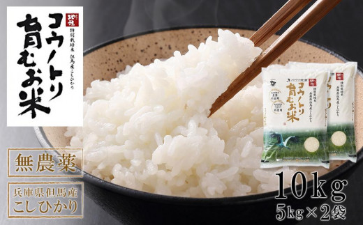 サンプル写真