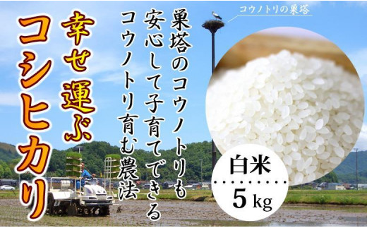 サンプル写真