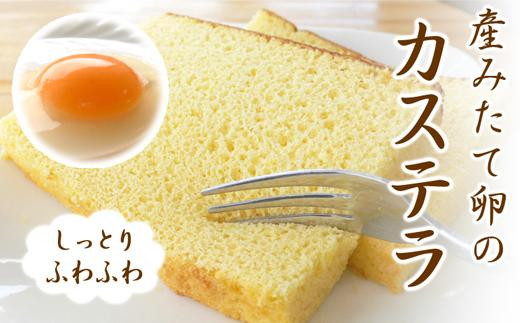 サンプル写真