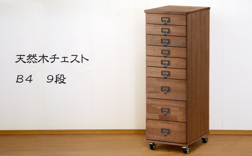 サンプル写真
