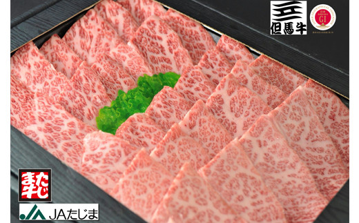 サンプル写真