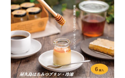 【鹿児島県屋久島町】【数量限定】屋久島はちみつ冷凍プリン6個セット