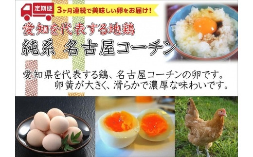 日本三大地鶏!!本当に美味しい食べ物は調味料の味に負けません！「純系