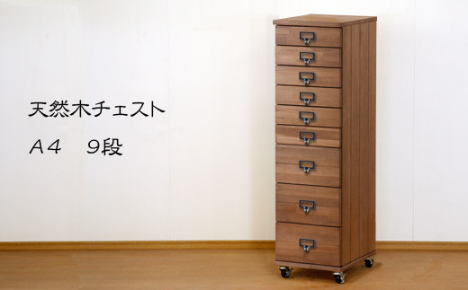 サンプル写真