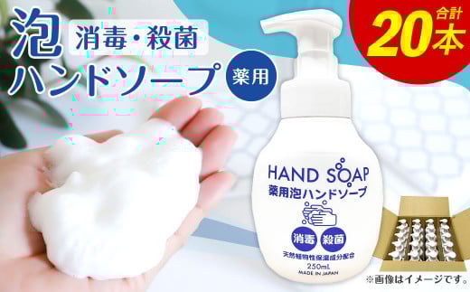 資生堂　SHISEIDO メディケイテッドハンドソープ 2000mL　2個セット 資生堂SHISEIDO メディケイテッドハンドソープ 2000mL2個セット