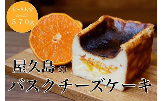 屋久島の手作りバスクチーズケーキ （たんかん）