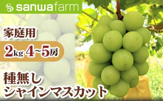 No.228 世羅町産　種無しシャインマスカット　約2kg（4～5房）【家庭用】 ／ 葡萄 ぶどう 種なし 広島県