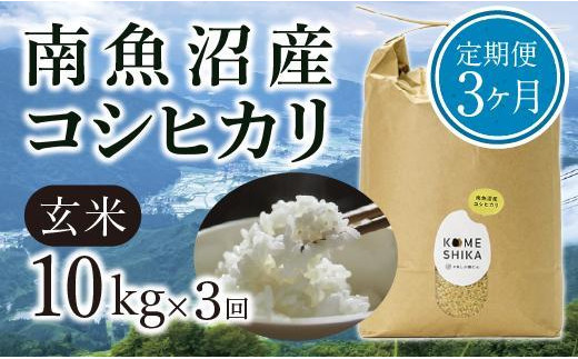 令和5年産新米】【定期便3ヵ月】雪室貯蔵 南魚沼産コシヒカリ 玄米10kg