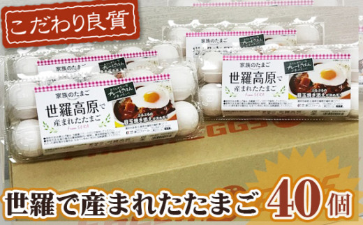 No.086 世羅で産まれたたまご　10個入り×4パック ／ 卵 タマゴ 新鮮 広島県