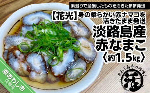 yɌ삠킶szy킶~̒Ig̏_炩ԃi}R܂ܔzWHY ԂȂ܂ij1.5