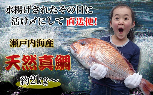 y쌧oszyMtgpz[Ȃ]ᐣ˓CY⒩1ԐgꂽVR^𒼑v܂BmTCYn