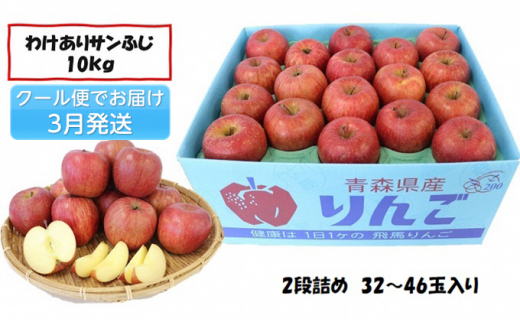 ふじりんご　青森県産　32〜40玉　10kg   林檎