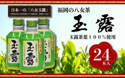 【玉露日本一】八女産玉露茶葉100％使用　福岡の八女茶　玉露ボトル缶　290g×24本入り1ケース