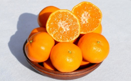 ya̎Ra̎Rszms\na̎RY ݂ Gi 10kgi9kg{ۏؕ500gj