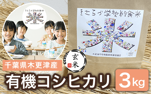 yt؍XÎszyāzt؍XÎY L@RVqJ 3kg  KCL007-1  / ӂ邳Ɣ[  RVqJ L@ I[KjbN t ؍XÎs 