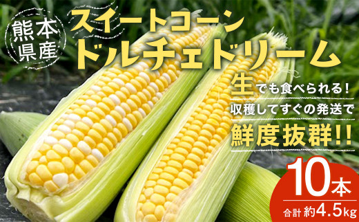 2024年6月上旬発送開始】 熊本県産スイートコーン ドルチェドリーム 【約4.5kg 1本450g以上×10本】 野菜 スイートコーン - 熊本県水俣市｜ふるさとチョイス  - ふるさと納税サイト