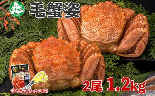 1217.毛蟹 2尾 計1.2kg前後 食べ方ガイド・専用ハサミ付 カニ かに 蟹