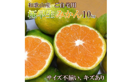 和歌山産 【極早生】みかん 10kg 【ご自宅用・サイズ不揃い・キズ等あり】【ヤマタ大谷商店】