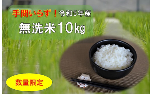 サンプル写真