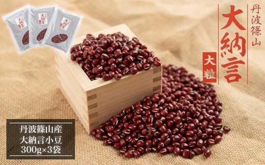 yɌOgRszߘa7NY@OgRY@[@300×3 Ɍ OgRs   j ފ Ɩp [ 嗱  Ԕ V ` 񂴂 